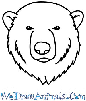 How to Draw a Polar Bear Face