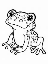 Cute Cartoon Frog Coloring Page sketch template