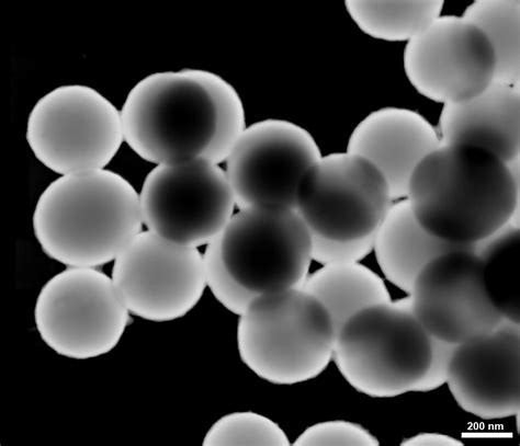 Silica Nanoparticle-DF | Bioscience Electron Microscopy Laboratory