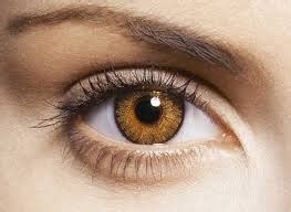 Brown Contacts – On Blue Eyes, Hazel, Chestnut, Honey Dark, Light Brown, Natural & Golden Brown ...