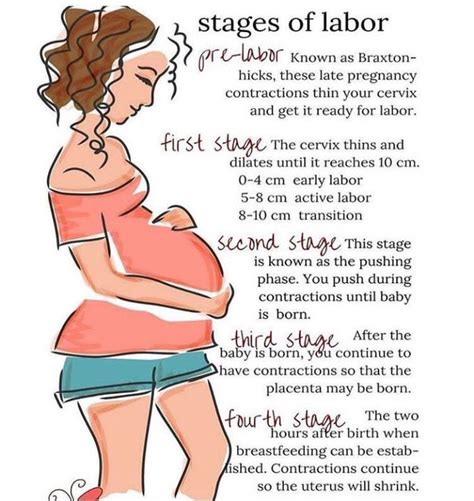 Stages of labour - MEDizzy