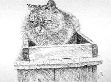 Cat On A Box Drawing by Arthur Fix