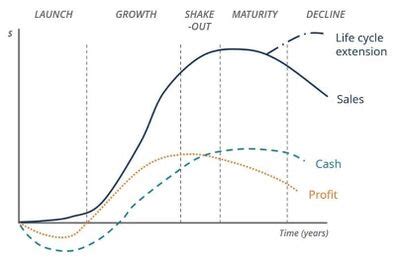 Business Life Cycle - CIO Wiki