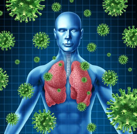 Lungs' Rare Stem Cell Population Activate to Promote Lung Regeneration After Severe Injury ...