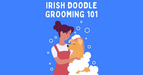 How to Groom Your Irish Doodle Like a Pro (FREE Guide)