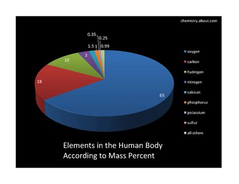 percent composition of the human body | Human body, Body, Ionic bonding