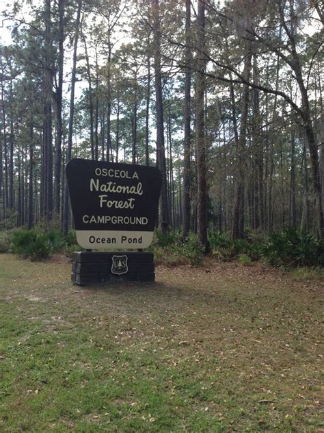 Osceola National Forest Ocean Pond Campground | Osceola national forest, National forest, Forest