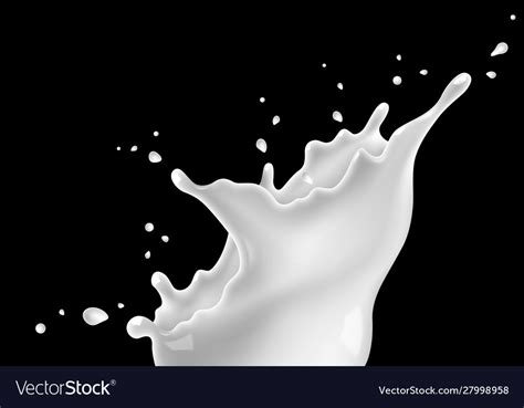 Splash milk on black background Royalty Free Vector Image