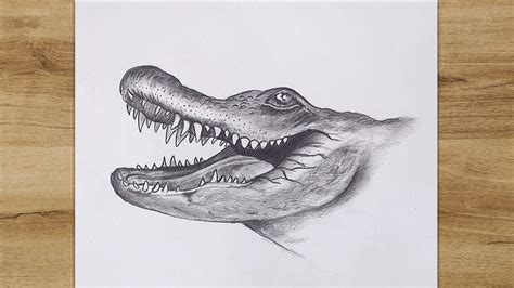 How to Draw a Crocodile Head step by step | Drawings, Animal drawings, Wallpaper iphone cute