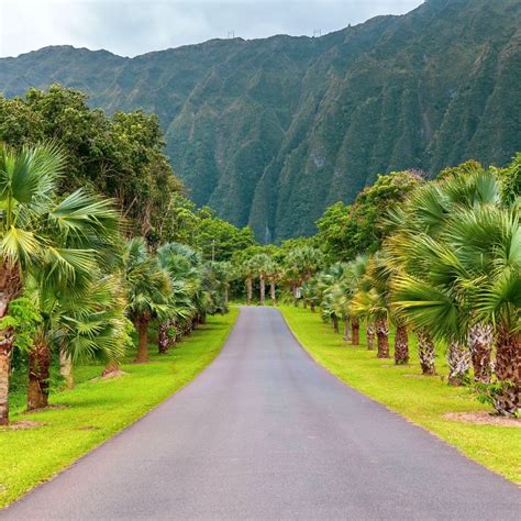 6 Best Botanical Gardens in O'ahu Hawaii - Turuhi