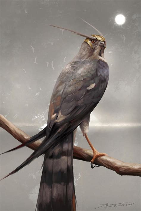 Hawk by TheRafaArts on DeviantArt | Falcon art, Creature concept art ...