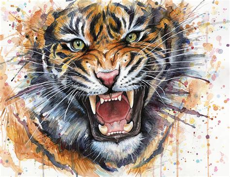 Tiger Watercolor Portrait Painting by Olga Shvartsur