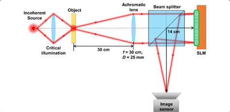 Schematic of the experimental setup. SLM-Spatial light modulator ...