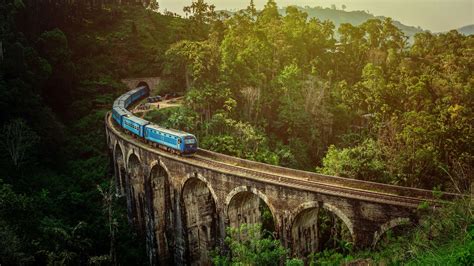 Birding Holiday Tour Sri Lanka - Explore Vacations