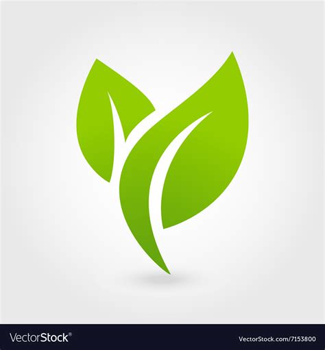 Eco icon green leaf isolated Royalty Free Vector Image