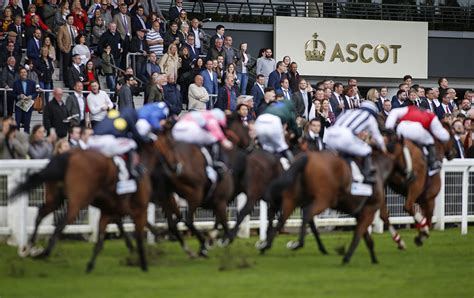 Horse Racing tips: The best bets on all 6 races on Friday at Ascot