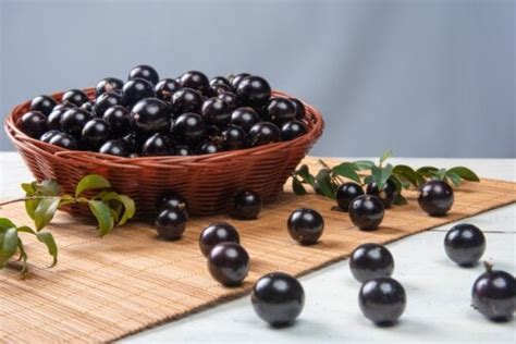 Jabuticaba: benefits and how to consume it