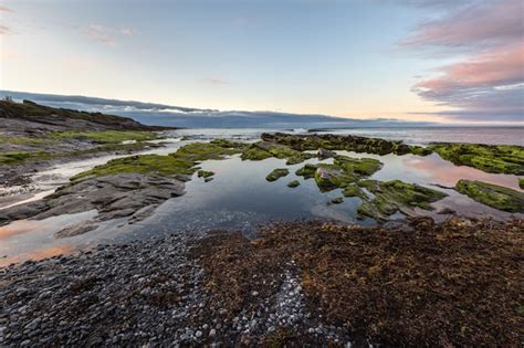 Premium Photo | The beauty of the beaches of northern spain with the moss on its rocks