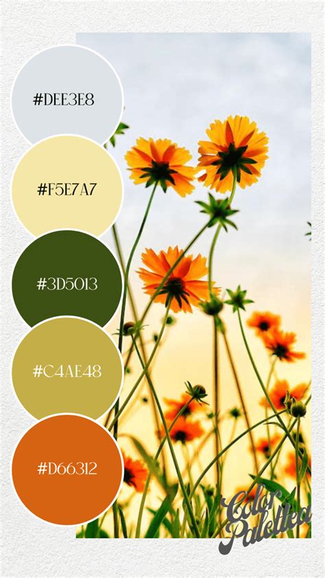 25 Color Palette Inspired by the Pantone Spring 2023 Color Trends - Color Palette Orange Color ...