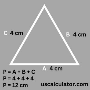 Perimeter of a Rectangle Calculator: Quick & Easy Results