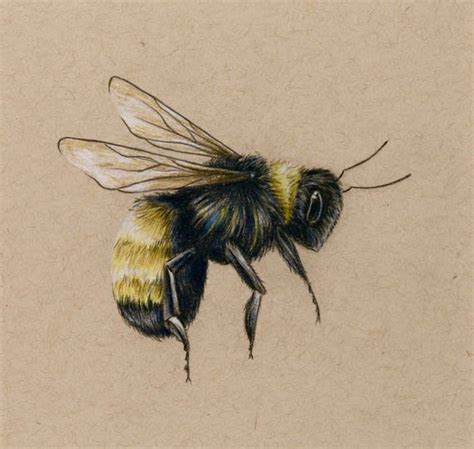 Bee art PRINT drawing colored pencil bee flying | Etsy