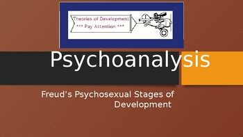 Psychoanalysis - Freudian stages of psychosexual development | TPT