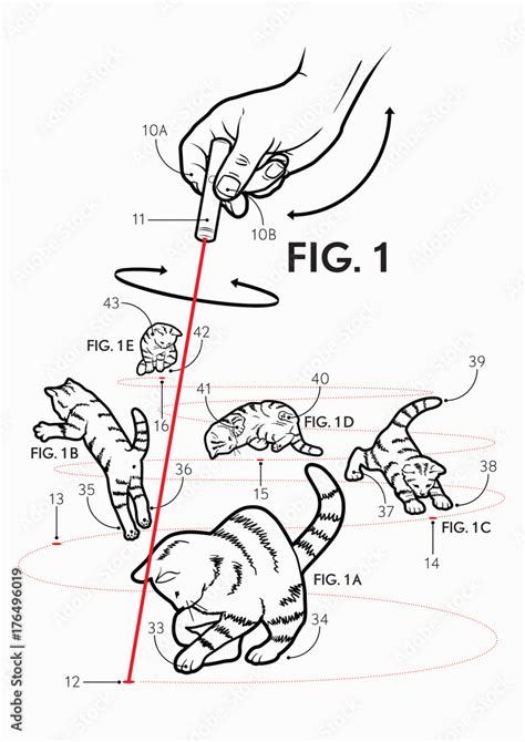 infographic of how to play with cat using a laser pointer Stock ...