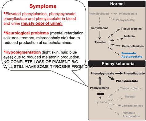 phenylketonuria symptoms - Google Search | Step 2 Maloooooo | Pinterest ...