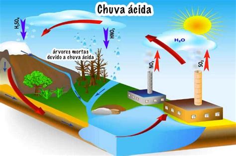 Impactos ambientais da chuva ácida - Grupo Escolar