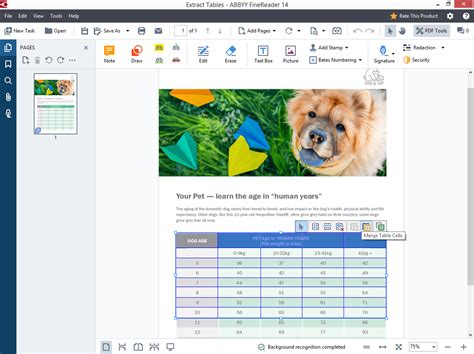 8 best OCR software for Windows 10 [2020 Guide]