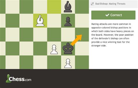 Interactive Chess Lessons For Beginners to Masters - Chess.com