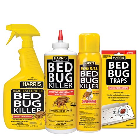 Why Do You Need Bed Bug Spray In Your Travel Kit? | TouristSecrets