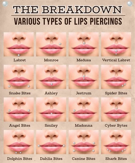 Lip & Labret Piercing Information & Aftercare