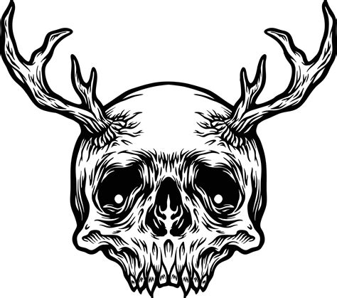 Skull with Deer Horns Outline Illustrations 15805338 Vector Art at Vecteezy