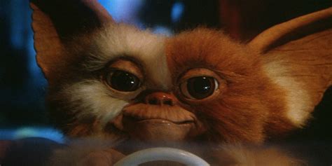 Gremlins Star Zach Galligan Says Gremlins 3 Won’t Be a Remake