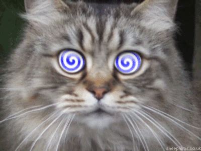 Hypnotic Eyes GIFs - Get the best GIF on GIPHY