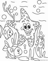 Dibujos De Estrella Mar Para Colorear E Imprimir– ColoringOnlyCom sketch template