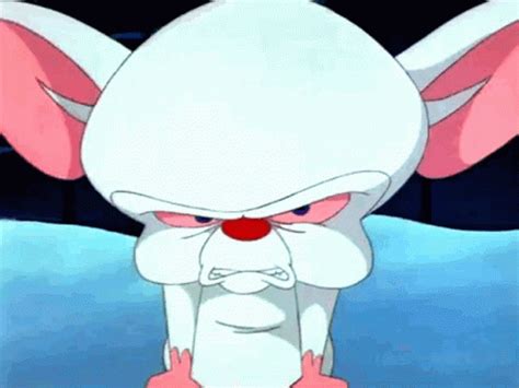 Pinky And The Brain Angry GIF - PinkyAndTheBrain TheBrain Angry - Discover & Share GIFs