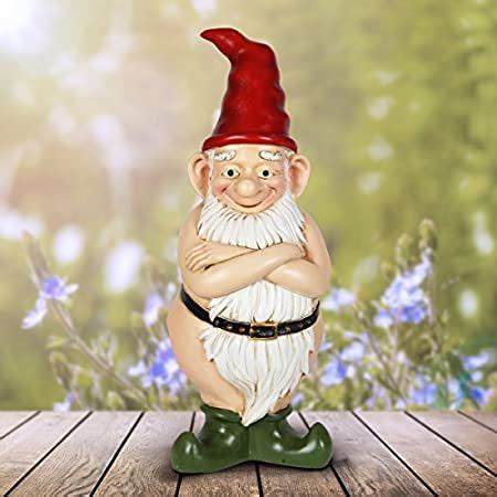 8 Best Funny garden gnomes images in 2020 | Funny garden gnomes, Gnomes, Gnome garden