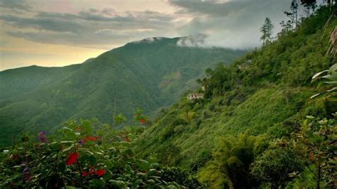 Blue Mountain Peak Hike Jamaica - OutwardOn.com