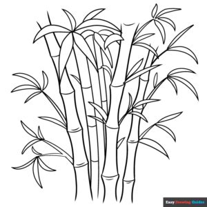 Bamboo Coloring Page | Easy Drawing Guides