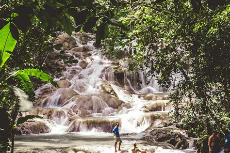 HD wallpaper: jamaica, ocho rios, jungle, rainforest, tropical, lake, waterfalls | Wallpaper Flare