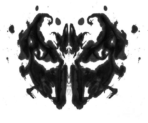 Rorschach Type Inkblot Photograph by Spencer Sutton - Fine Art America