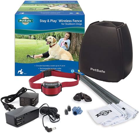 Best Electric Dog Fence Reviewed to Buy for Your Yard | iPetCompanion