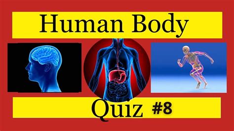 Human Body Quiz Questions With Answers : Can You Pass This Human Body Quiz?#8 || Trivia Quiz ...