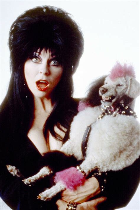 ELVIRA: MISTRESS OF THE DARK CASSANDRA PETERSON HOLDING POODLE DOG ...