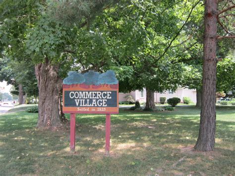 Commerce Township Michigan Homes for Sale and Real Estate