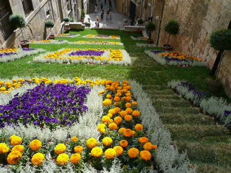 The Flower Festival and Spanish Spring Celebrations – Travelhoppers