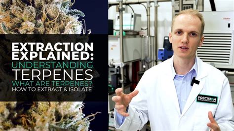 Cannabis Terpene Extraction | How to Isolate & Extract