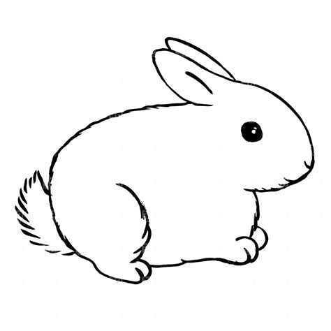 White Rabbit Drawing | Free download on ClipArtMag